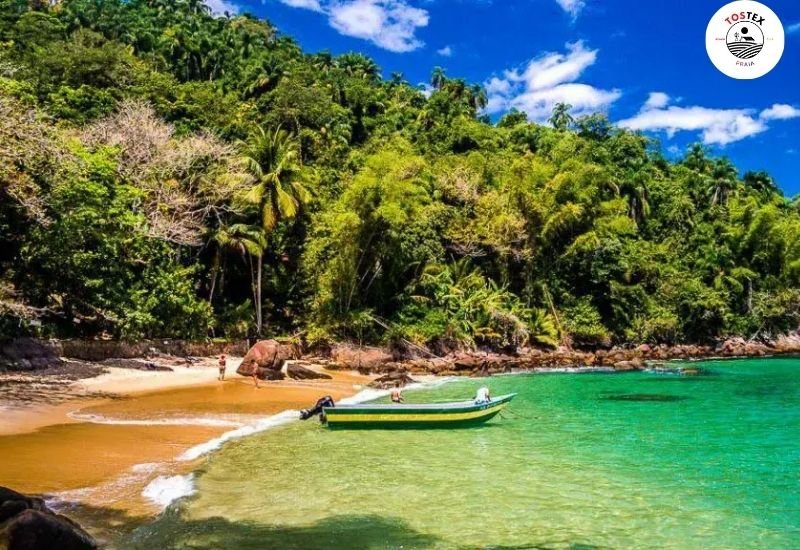 Praia-da-Ilha-das-Couves-Ubatuba