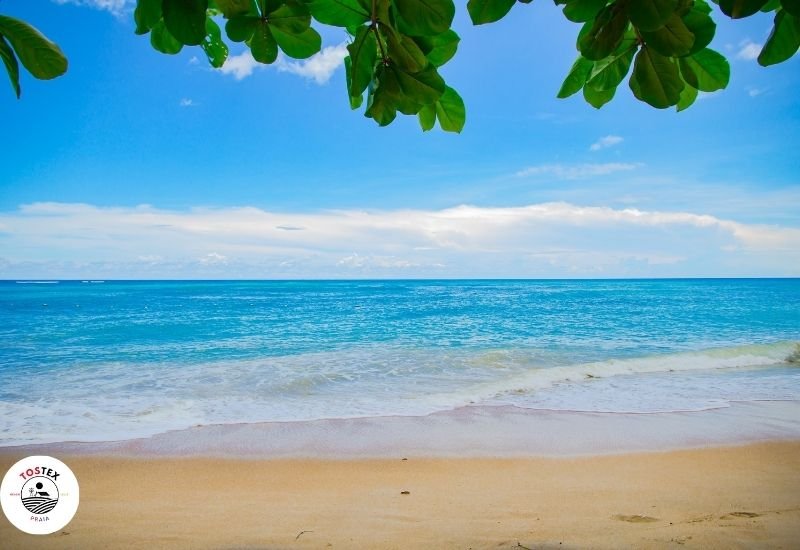 Top 10 Melhores Praias de São Paulo: Guia Completo de Santos a Ubatuba